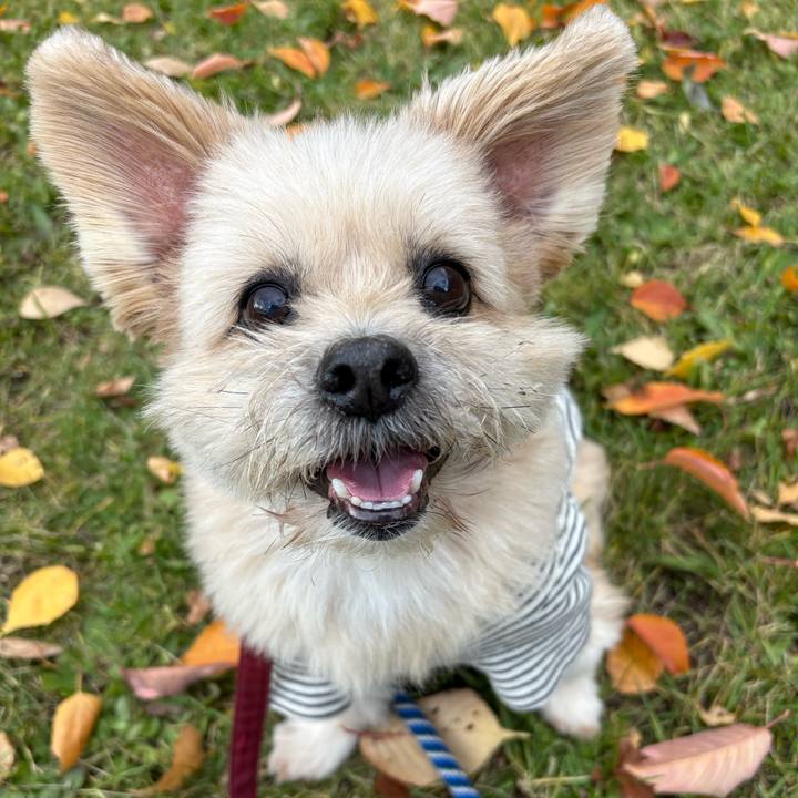 E7d88c28 23af 4f6b a580 7e6730790929 1761641469304