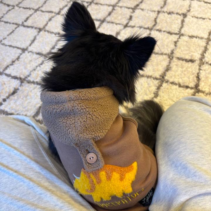 E7d89cc9 5b34 4fe8 b3cc 3208d5b642ec 1740412645290