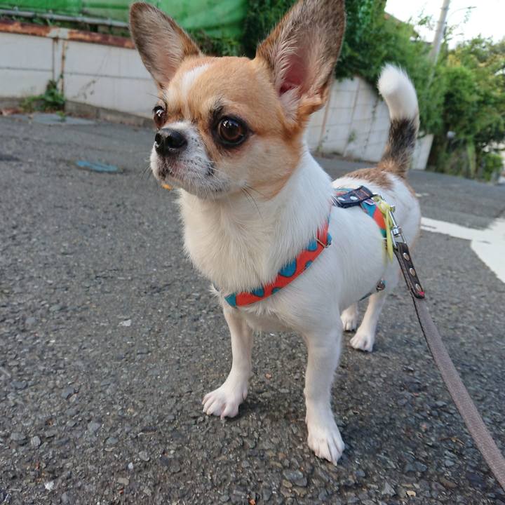 E7d8cb89 7d98 4c5d b853 82f7af85d0fe 1598479365171