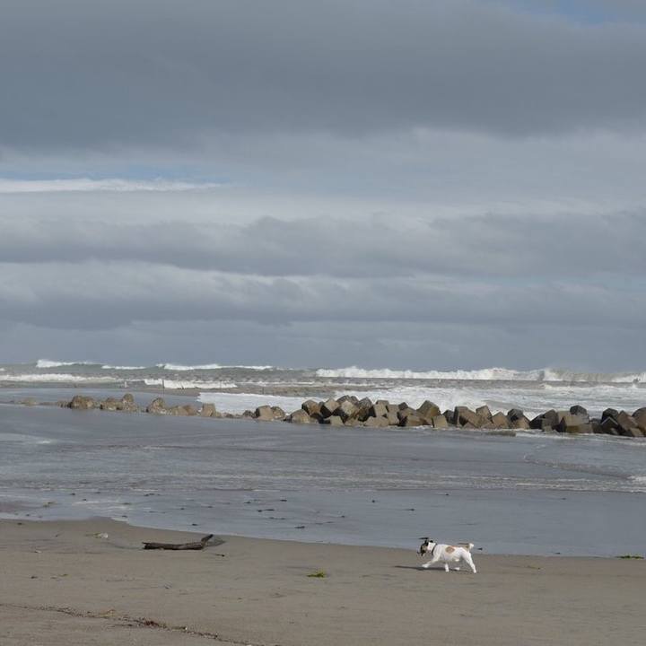 E7d8eb31 0b2b 40e6 b4c7 dd03f7c75c72 1560745312522