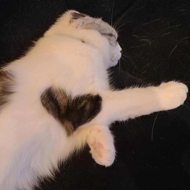 E7d8ef82 6203 41d1 a300 03191b0d7822 1663230814017