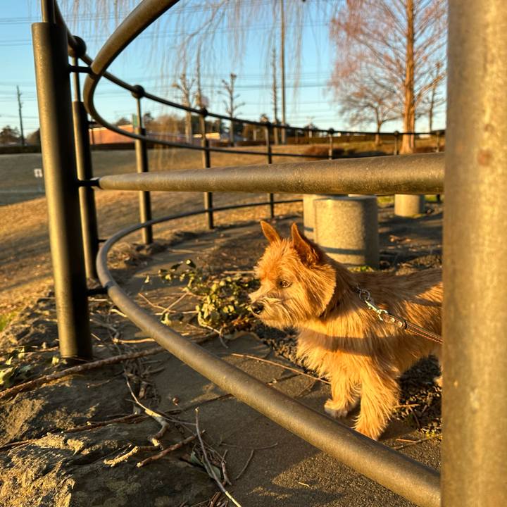 E7d9209d 6ec8 46d9 8d3c bffddb8c5f9a 1740644956248