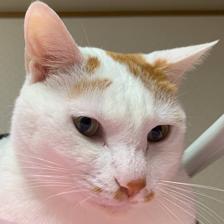 E7d9835d f0f5 4bb5 b02b ca60104b9050 1626535121072