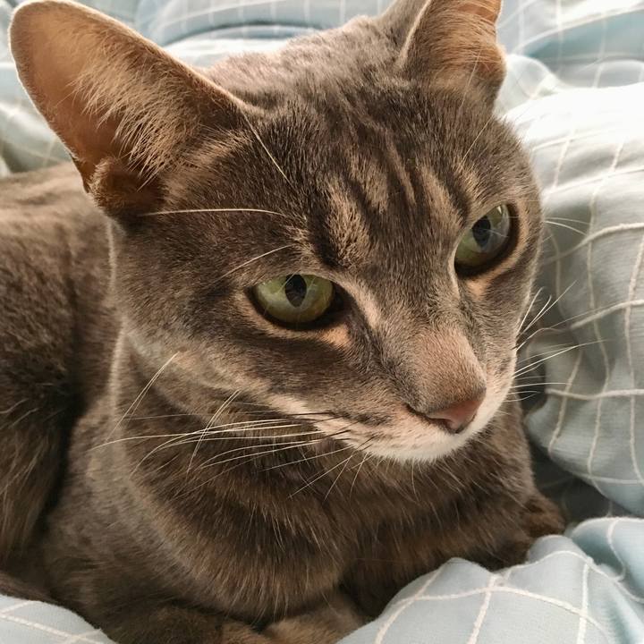 E7d99e13 60f0 43d3 9691 4d559094bca3 1556321842062