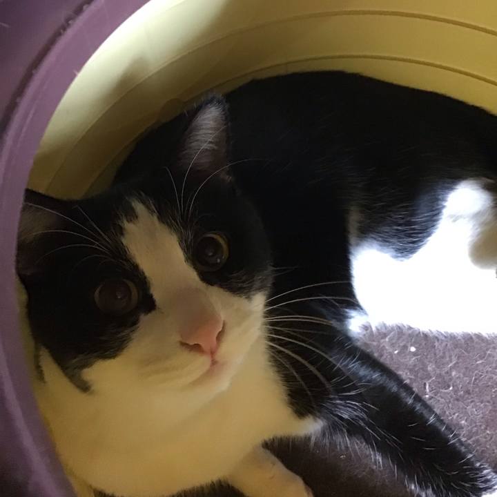 E7d9bf38 ba3f 491d 89d8 dad9b36c8f42 1674815778297