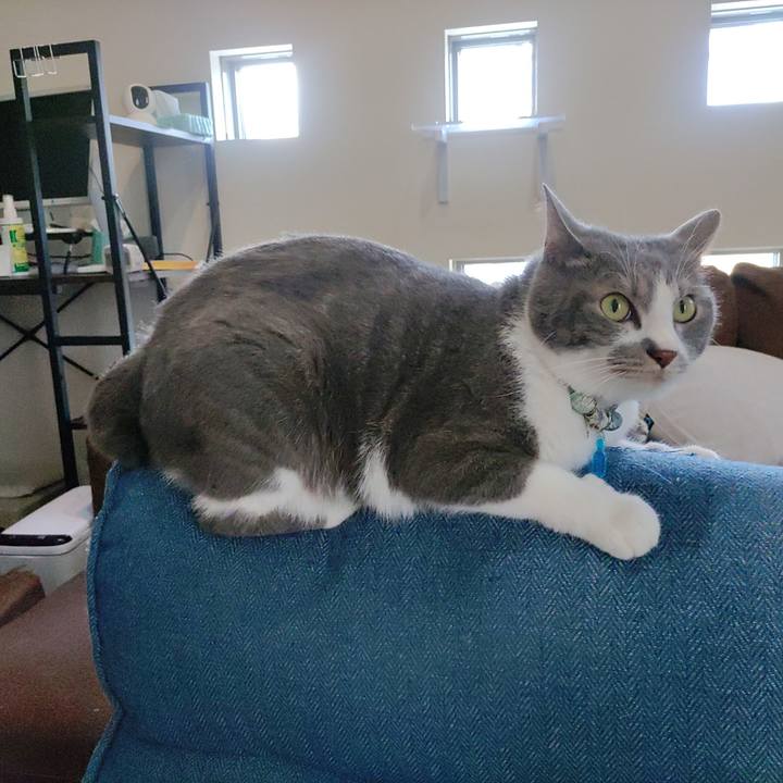 E7d9c61b ef18 45db 9aab 9761a0e6d3c1 1686631904017