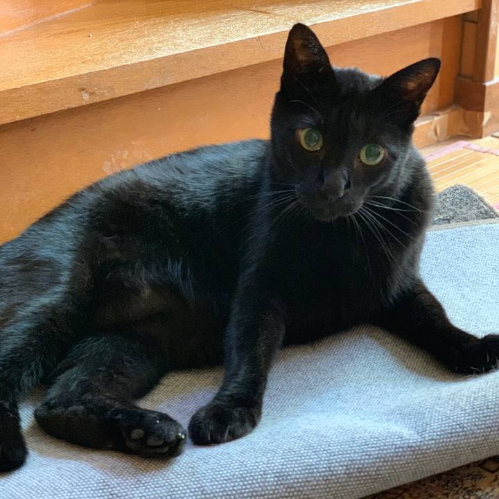 E7d9e297 7a83 4c82 aaba e1dc697158a2 1569979545621