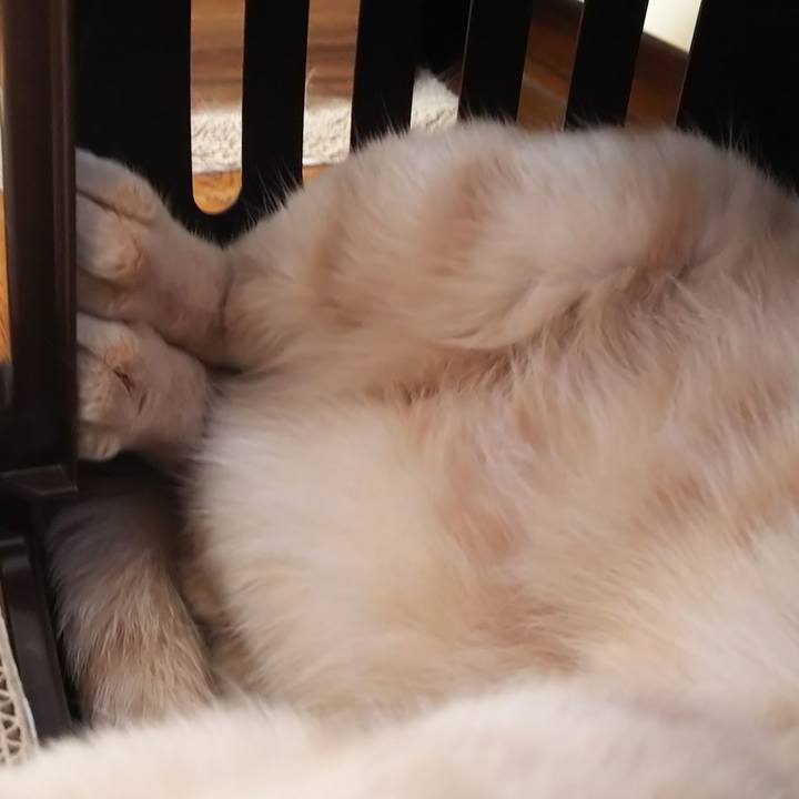 E7d9e974 1e28 48c8 a8de 817d2df09d5d 1629525856827