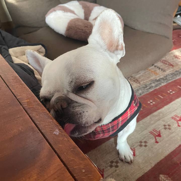 E7d9eeac 1683 4cfa 831c df802a372082 1766703329715