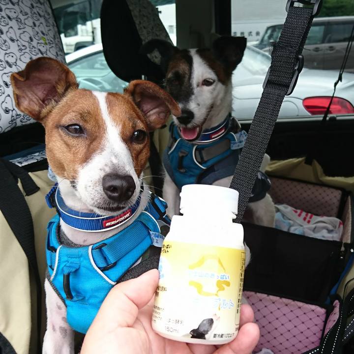 E7da2380 1601 4253 be7d 598009bacb55 1562395825591