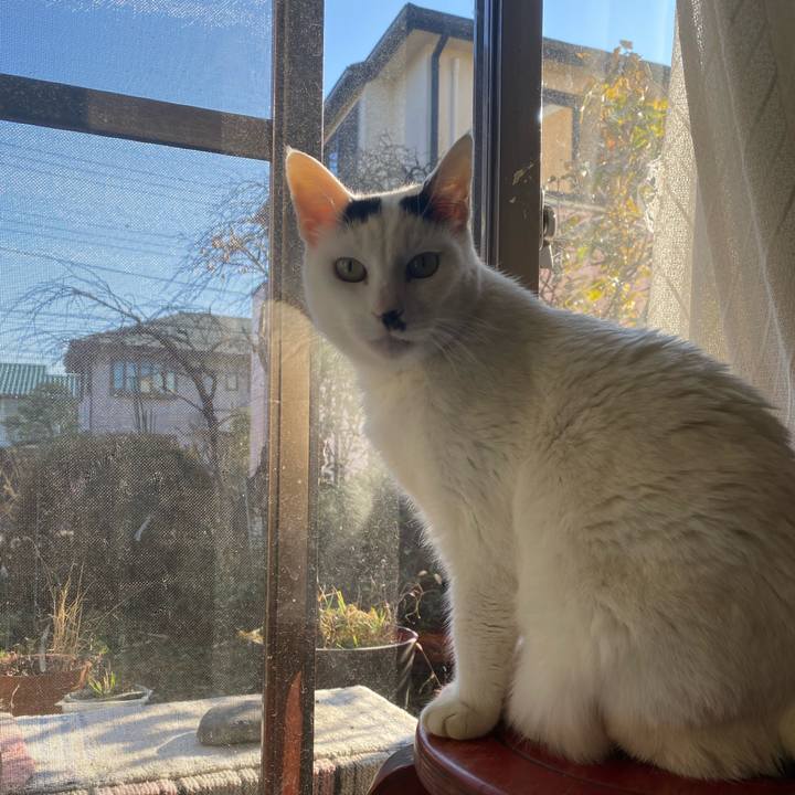 E7da56fc fe96 4304 8a9a 902e22d9b96d 1673159337343