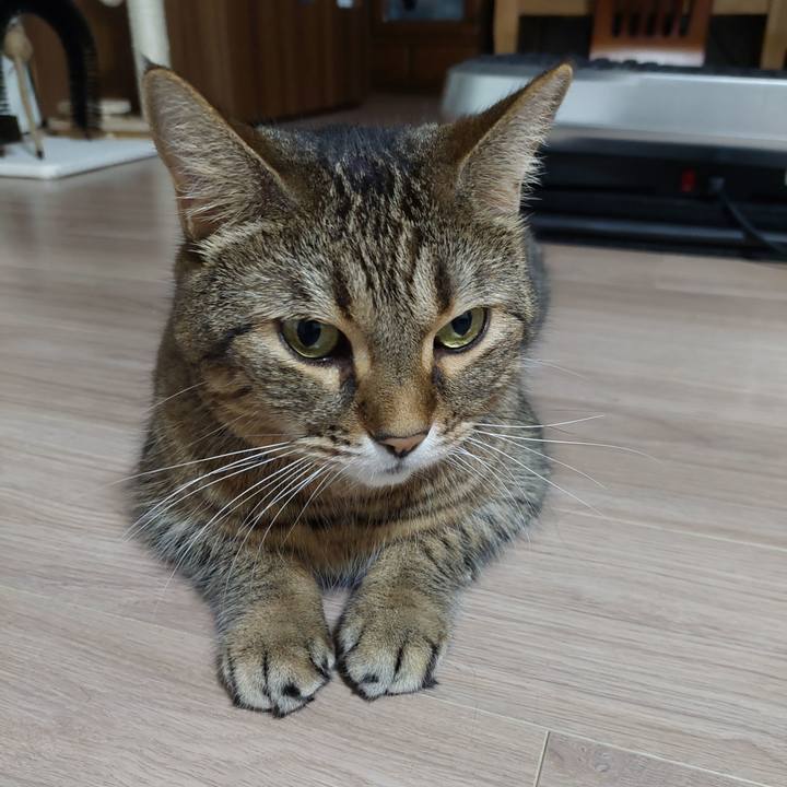 E7da5771 6015 4978 b8d2 d3871bf16b2c 1632691410515