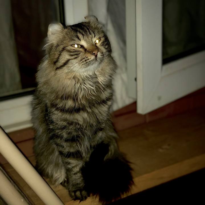 E7da60a6 626f 45b0 8892 e7fb6e7d8260 1659882381843