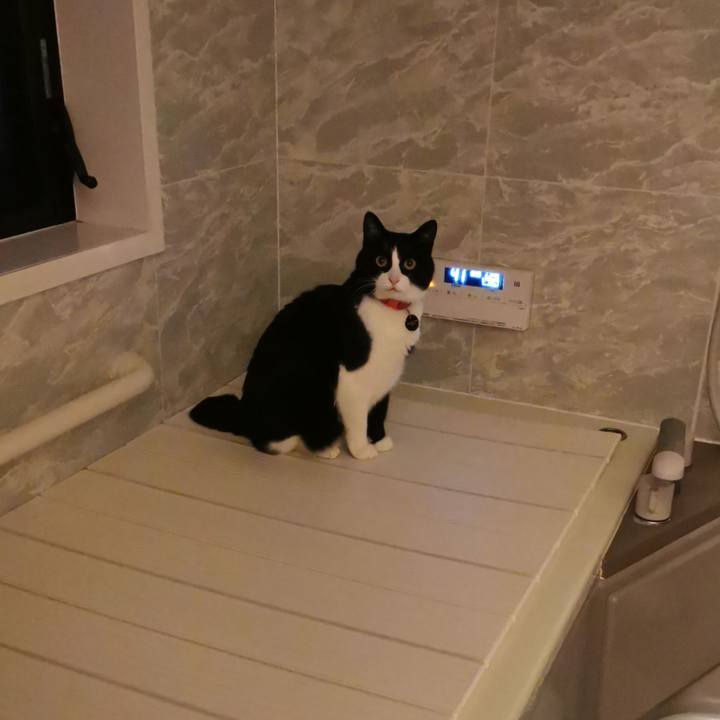 E7da674e d4af 40ff 827b 202990ff4ea8 1646712537576