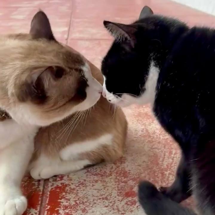 E7da9e8b f3d6 4157 88fd 1f31e039470f 1767583792010