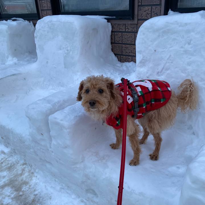 E7daae7b 9a55 4854 bd13 c63dedc2844f 1676104587808