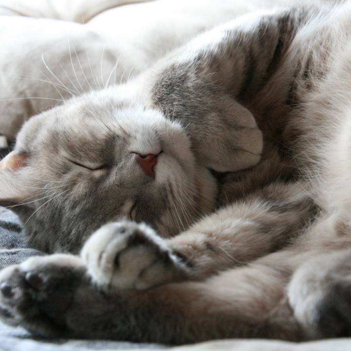 E7dab7c5 c495 4730 b1ce ee049c61e8ed 1509878490960