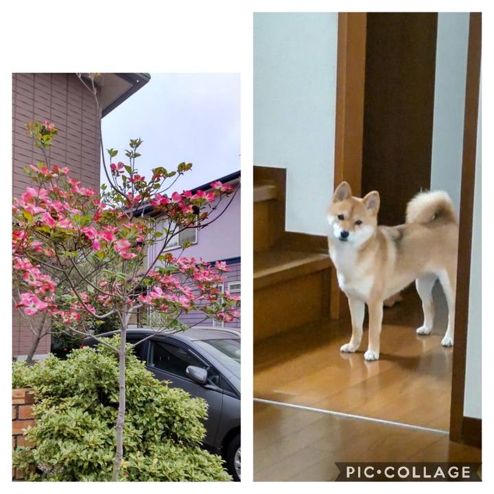 E7dabccb 2d3a 4b34 a51d 371e62f9c046 1649824824955