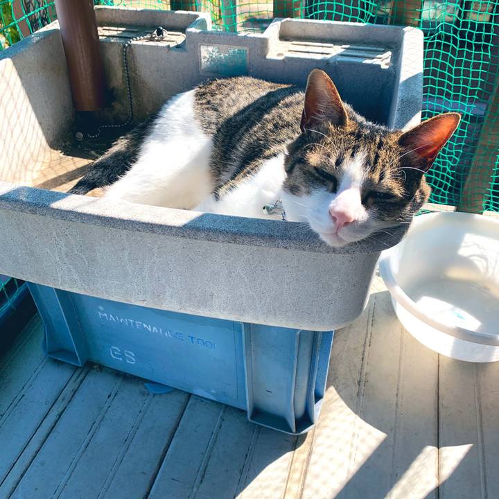 E7dacae2 4550 4fa8 87e9 0048e701a2cb 1556959472510