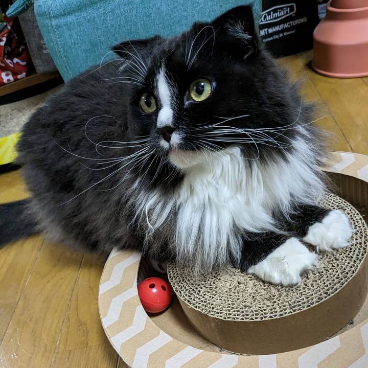 E7dad8a6 6e58 44a1 b21f f32bc8f1de0a 1678706695728