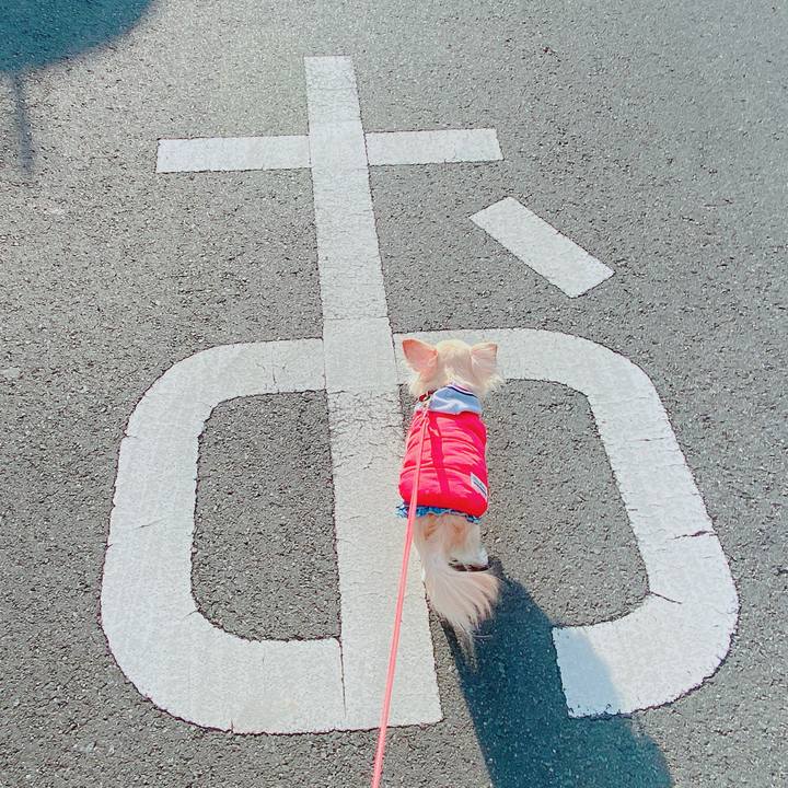 E7dadc2c 6182 4736 bc7e 26b7eb1be30d 1643416610149