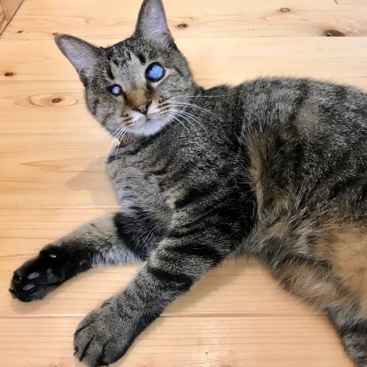 E7db75f7 946c 436e 97bb 053e4e9e0b95 1537238407356