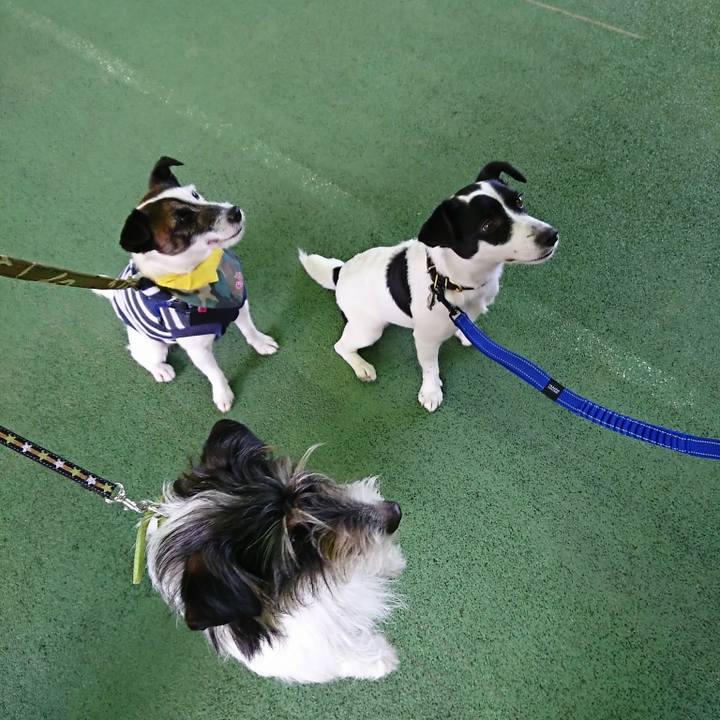 E7dbb5f3 b278 483e 96ef 23872b17f020 1524407222508