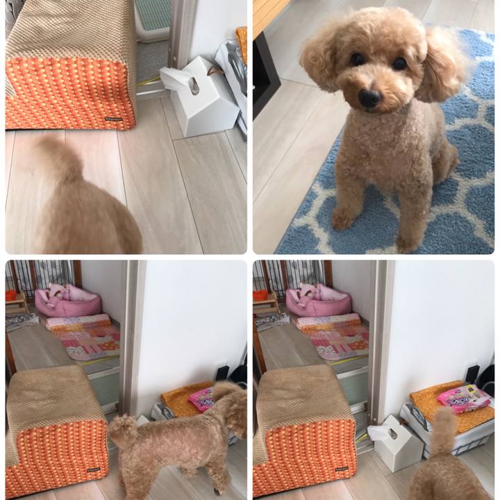 E7dbd04f 9f5c 4be5 bb9e 4978516c89a2 1559654956722