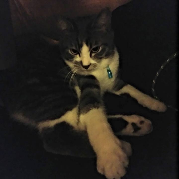 E7dbdb1f cec1 4aba a4fd f7c90bc87052 1576506830410