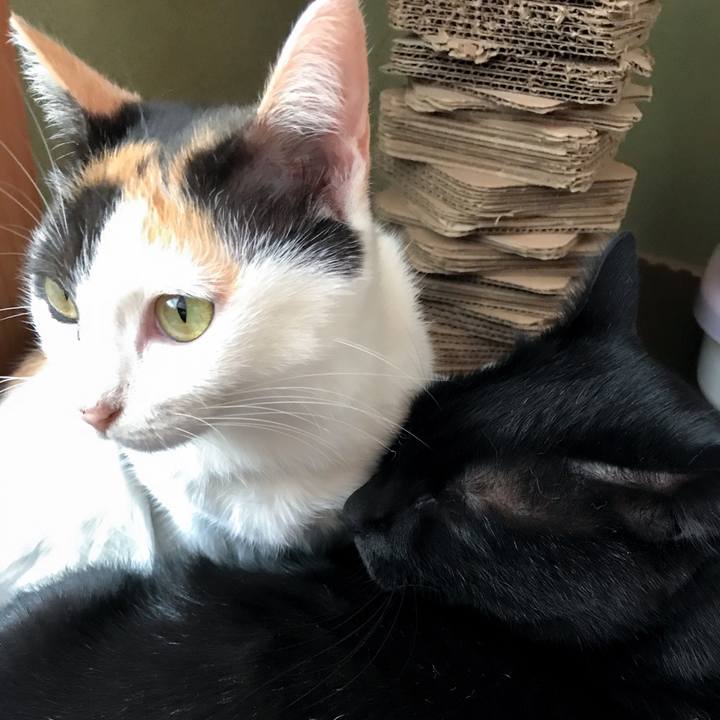 E7dbf518 fe10 4d42 95f5 d9fe7f135395 1510658276407