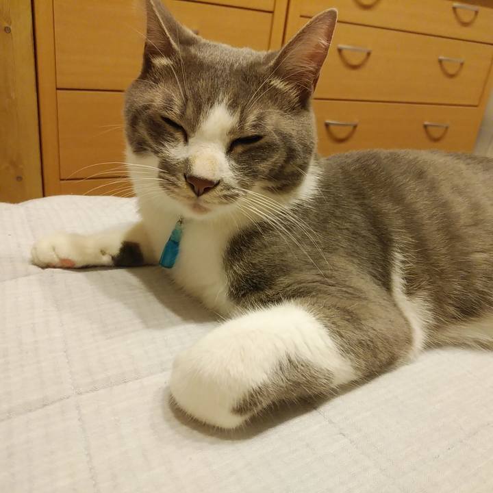 E7dc1fcc a169 4aea ad58 3543da2ca14e 1593697592397