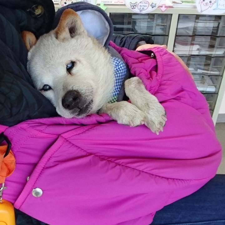 E7dc8790 15f6 415d 95bf f0f64e97b967 1521345364198