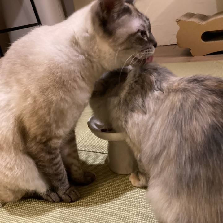 E7dc8d95 0195 464f af55 1474a26e1ea4 1701689985015