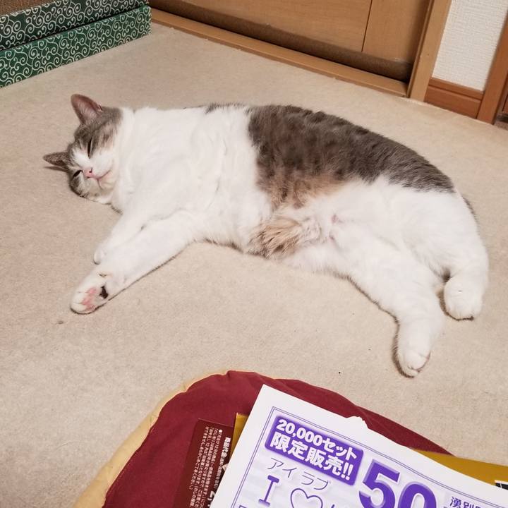 E7dcd923 9792 4735 8991 378b83145c38 1658736613366