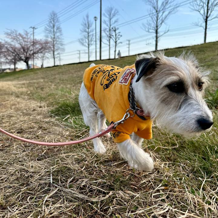 E7dcdb5a fd6e 4ac1 a1e9 a9951894078b 1710684579288