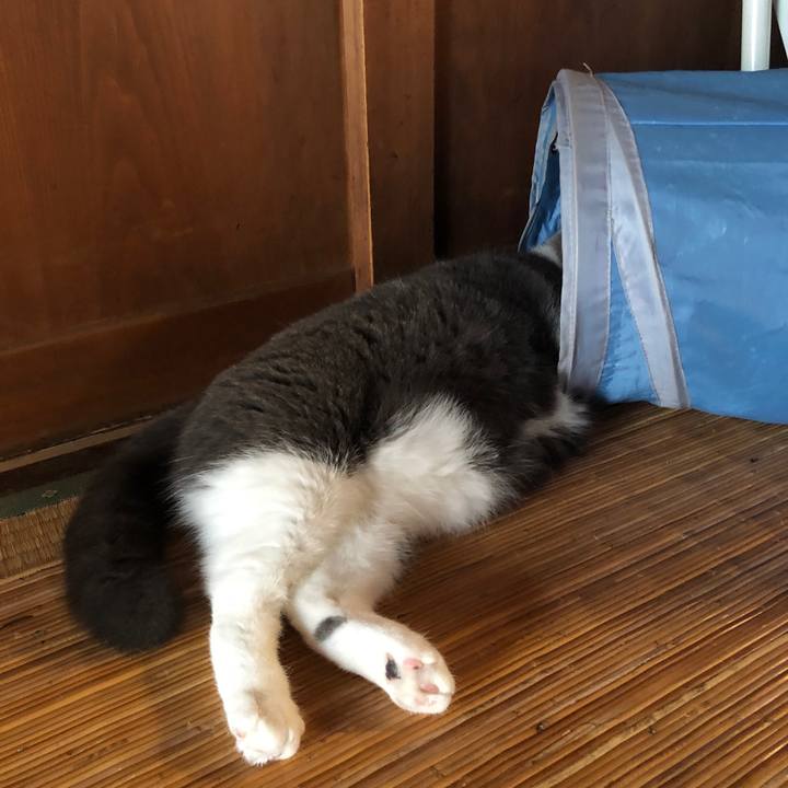 E7dcf661 413d 458d 996b 8a672a46ec2a 1600753934417