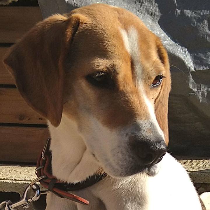 E7dd1507 8193 4e9c b6a2 3fa5276ec07a 1661349140100