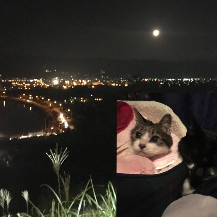 E7dd25f0 3189 42ee b6f5 8dd95a0981df 1509876246164