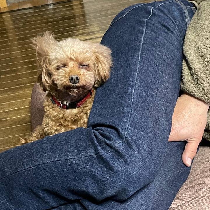 E7dd31e7 0633 4956 a005 519bc3078232 1677368007041