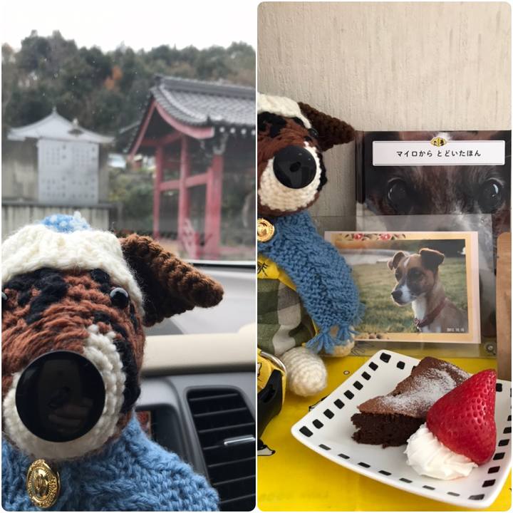 E7dd39ea a475 46e6 80c7 b203ae20a0ab 1545621328389