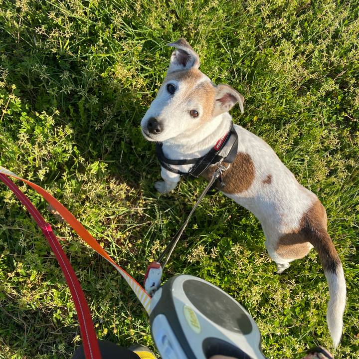 E7dd6b27 3525 4f56 834b 1ef1ef32d843 1618138604732