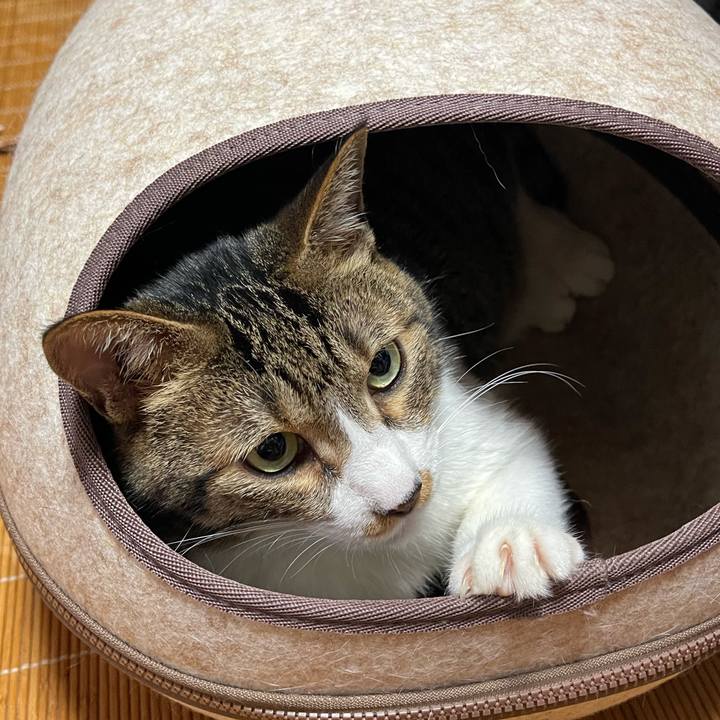 E7ddc065 c482 442d bdc1 87f0c36e9fdc 1752447445057