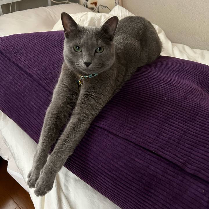 E7ddd6b7 5847 4f27 b21d ee136357df26 1685095241856