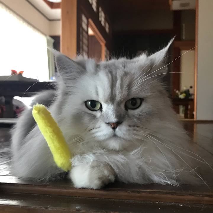 E7ddea80 500c 4a0b 9c34 f823c9fe5297 1622281075425