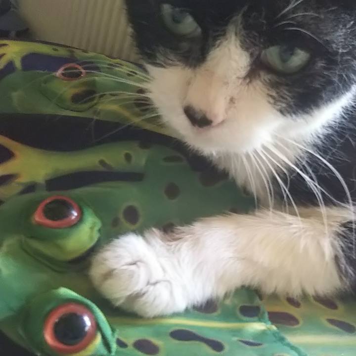 E7de0837 d79a 491d 96be b6cdcb5cca36 1621315285236