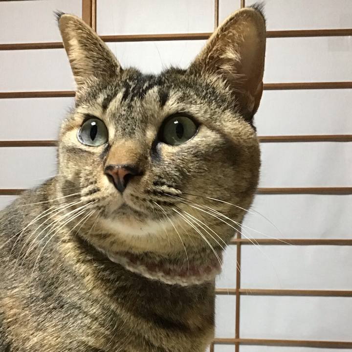 E7de14dc fa90 4987 b855 c9aa89cff812 1675173579273