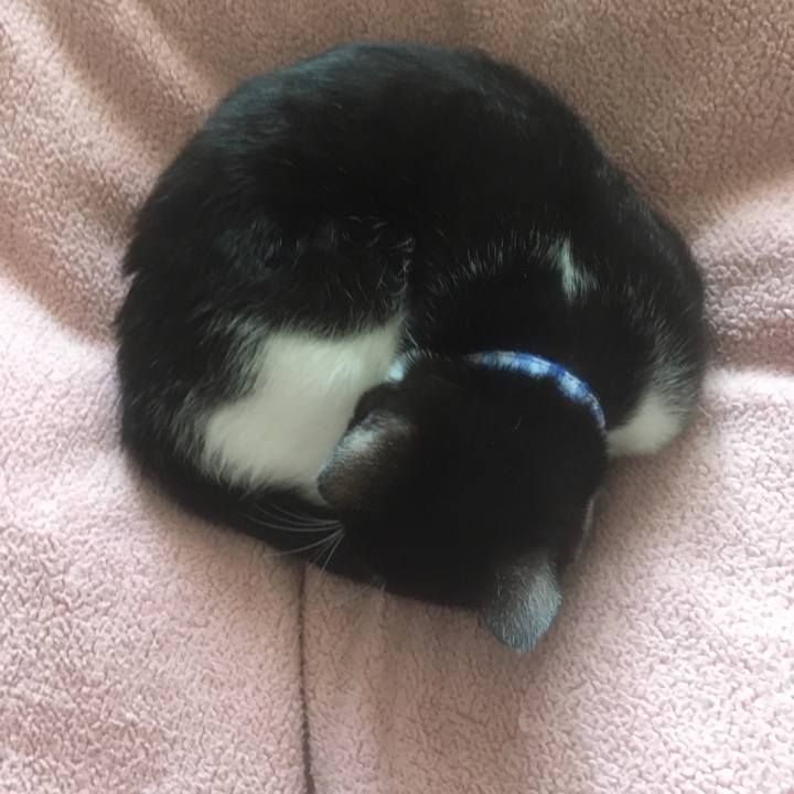 E7de17a4 c3b1 4b5e a304 416d0cc75b5f 1519286117808