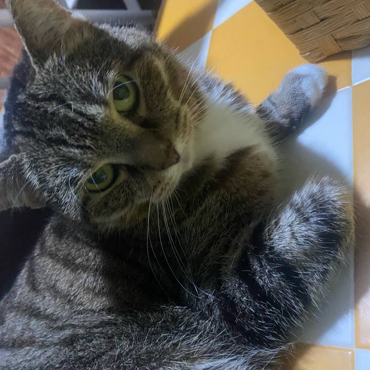 E7de317f d41c 46c6 9357 aa4bb256665e 1751492467108