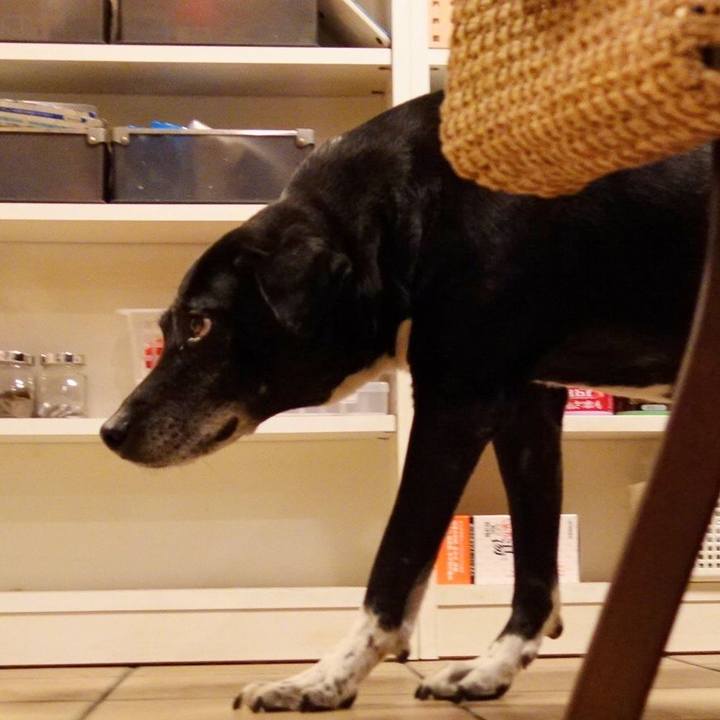 E7de3ea1 8e20 4ad2 abb9 337078e638f5 1741259138625