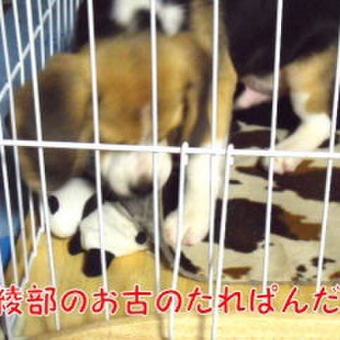 E7de4a22 4f9d 4a13 a6a9 4f344555a55f 1676765715671